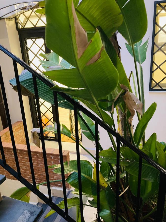 Lavica Di Mezzo Apartments Katanya Dış mekan fotoğraf