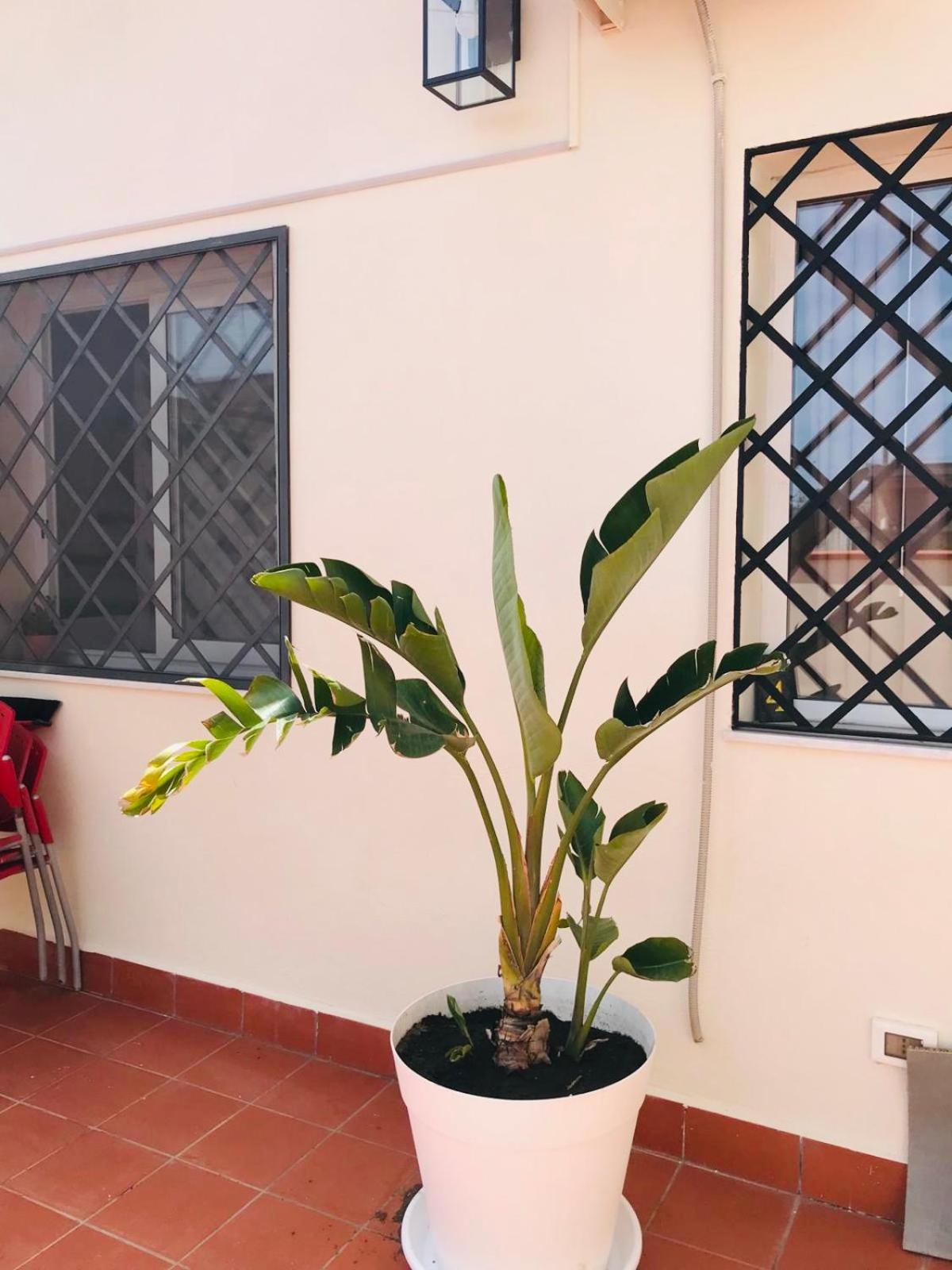 Lavica Di Mezzo Apartments Katanya Dış mekan fotoğraf