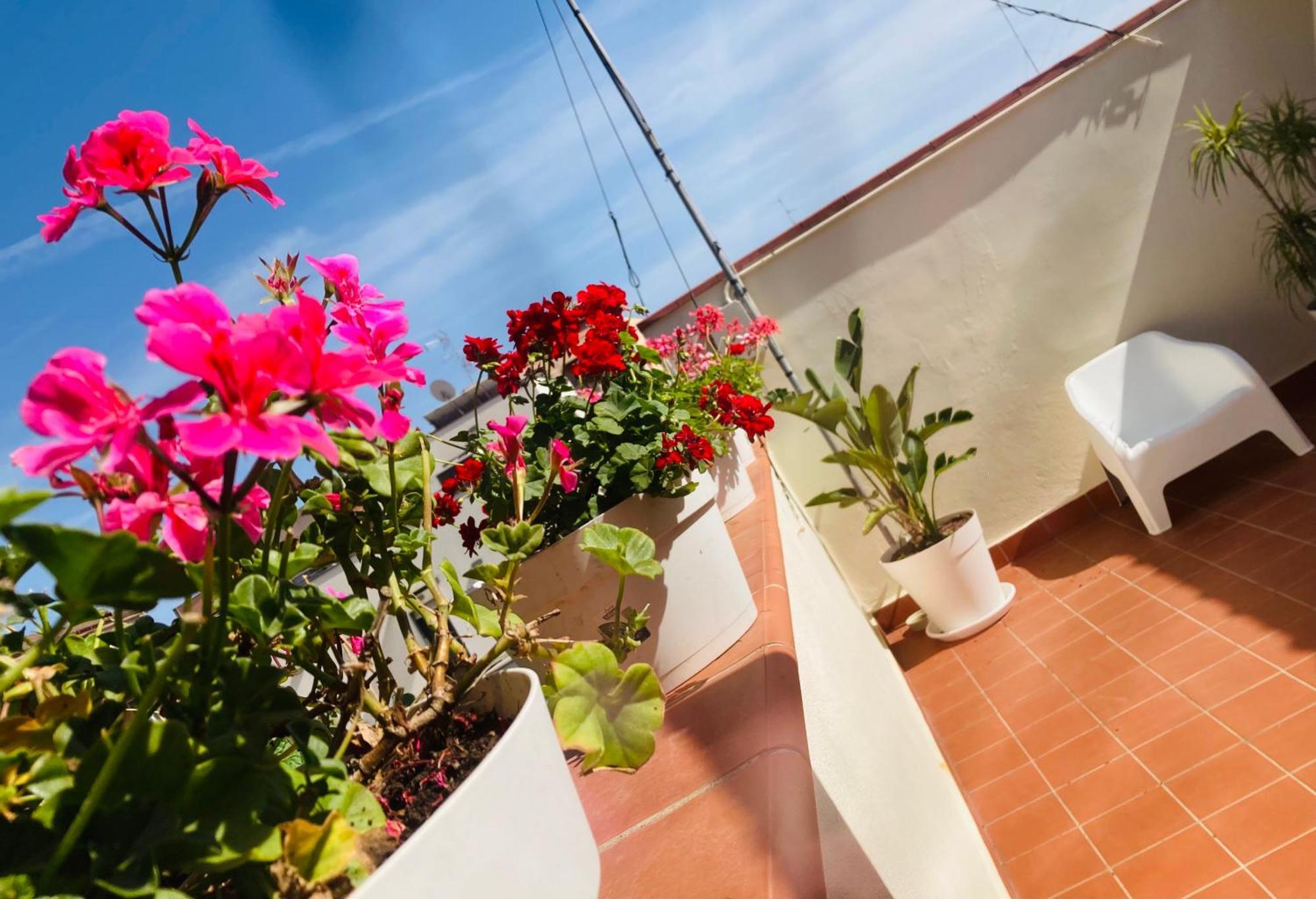 Lavica Di Mezzo Apartments Katanya Dış mekan fotoğraf